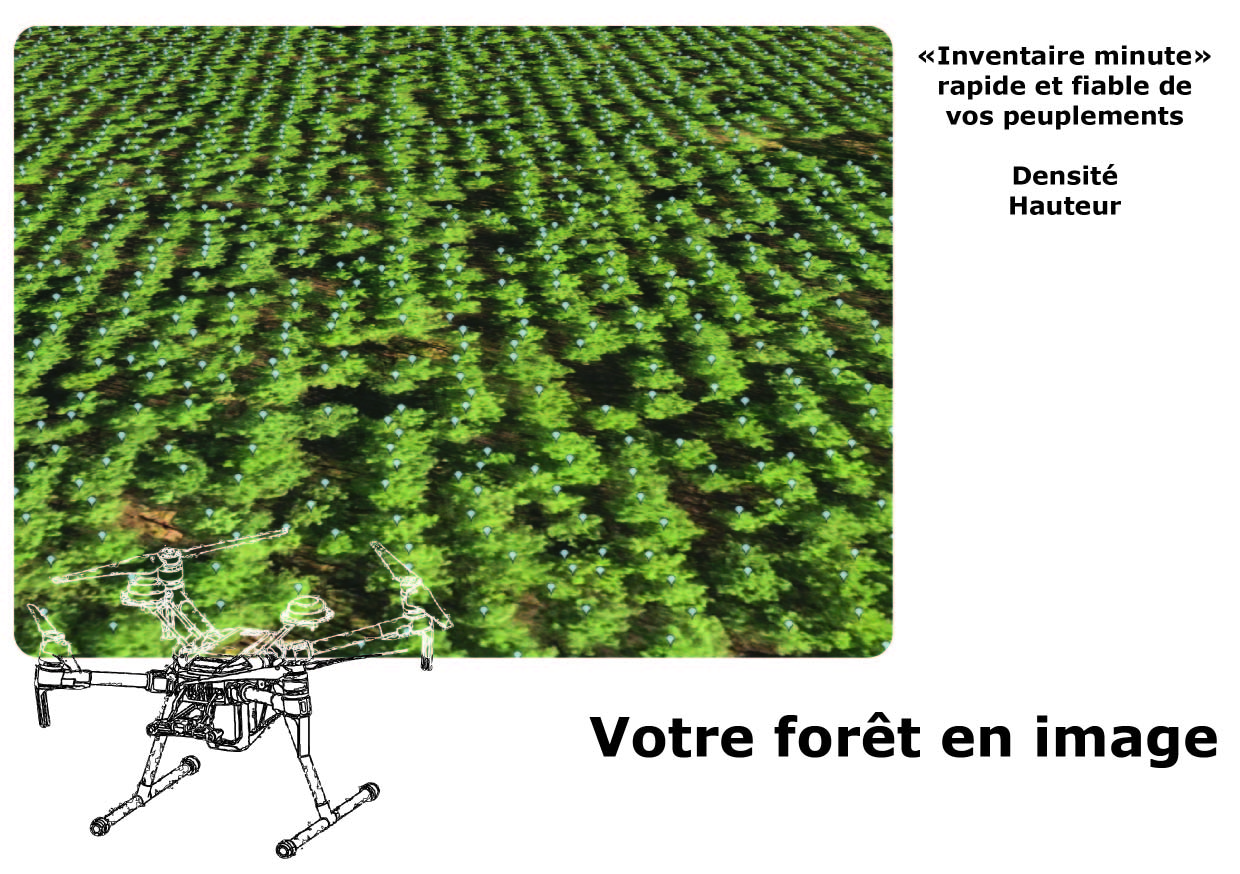 Inventaire forestier par drone